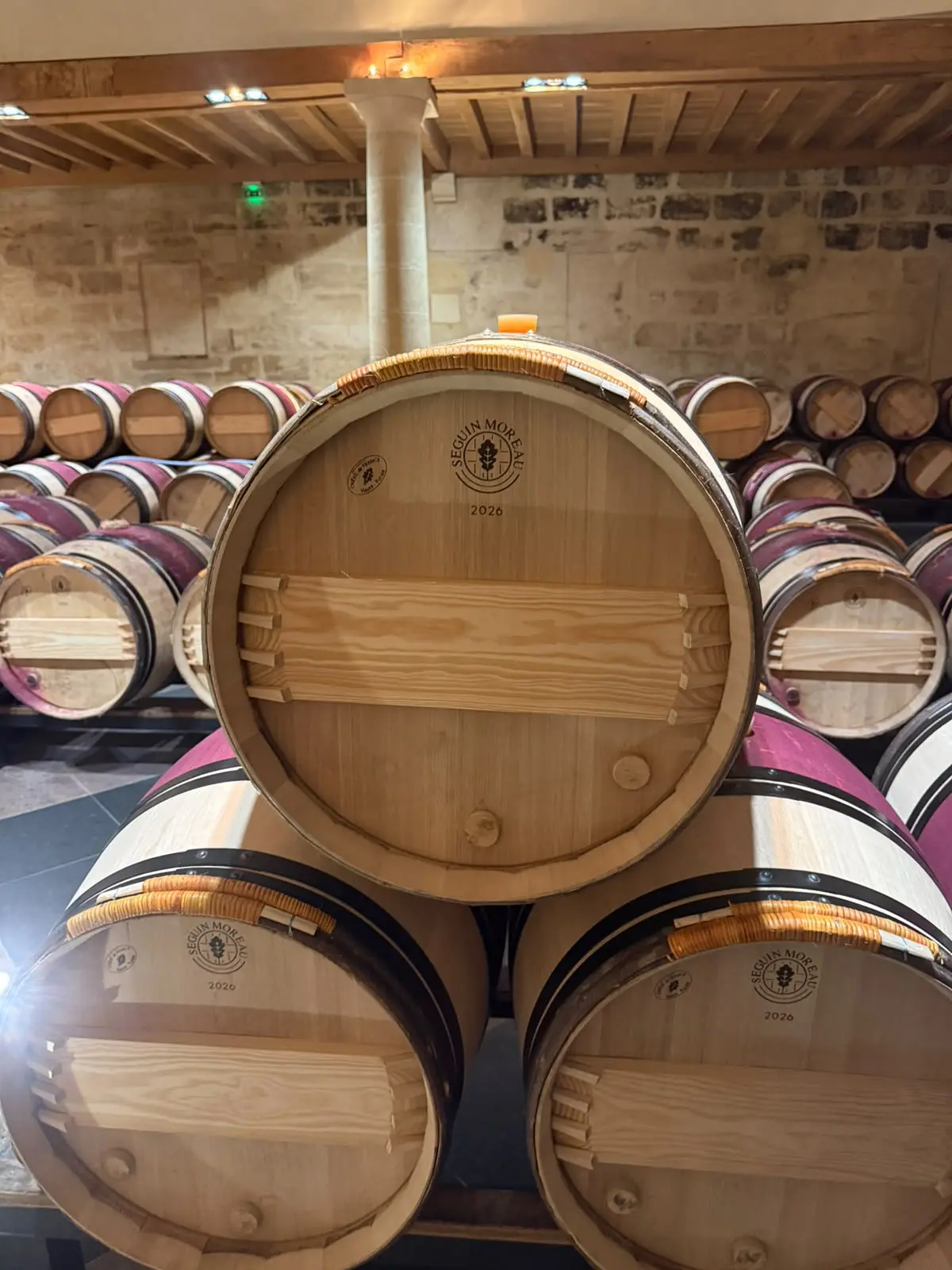 Dettaglio delle barrique allineate nella cantina